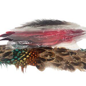 Mixed Craft Feathers For DIY Projects - Assorted Colors & Textures